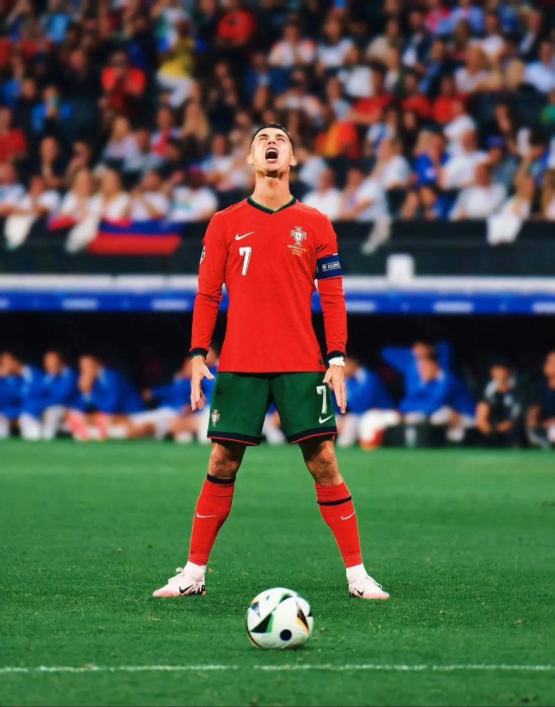 总的来说 总的来说