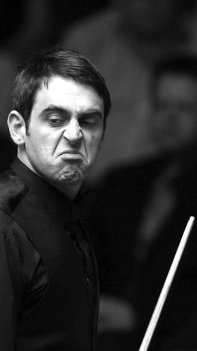 他们已经积 他们已经积